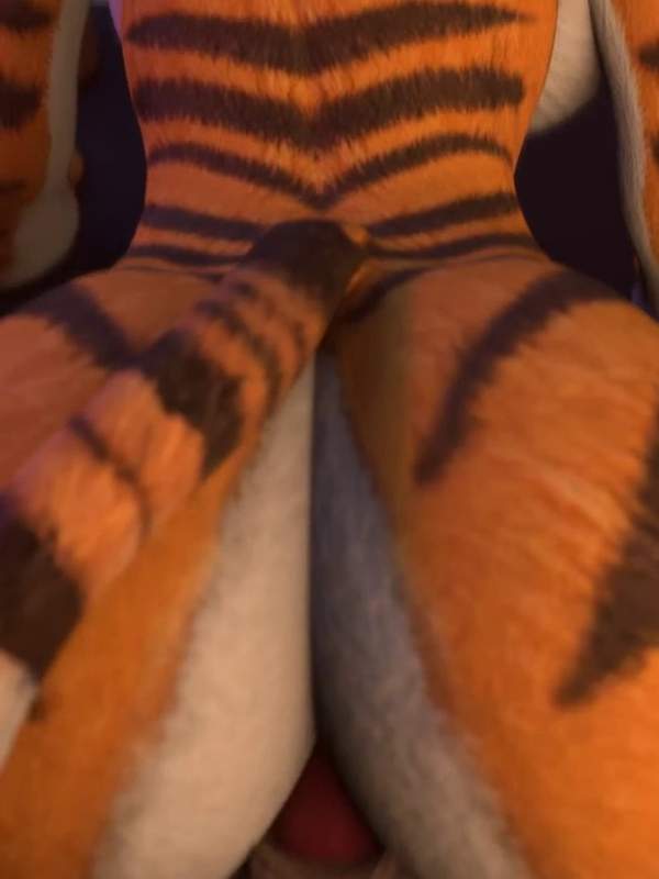 Cartoon Tiger macht sich bereit für harten Sex