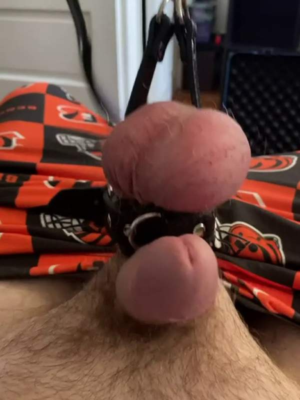 Meine Schwänze und meine Ärsche sind mit einer fetten Kette gefesselt - ein BDSM Sexvideo