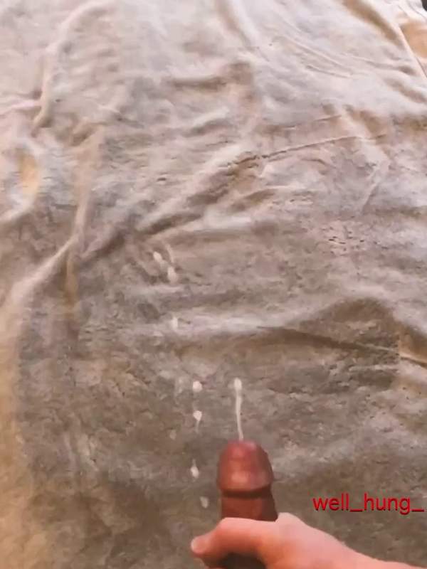 Ein Schwanz reitet hart auf dem Bett