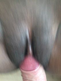 sugarmanjango